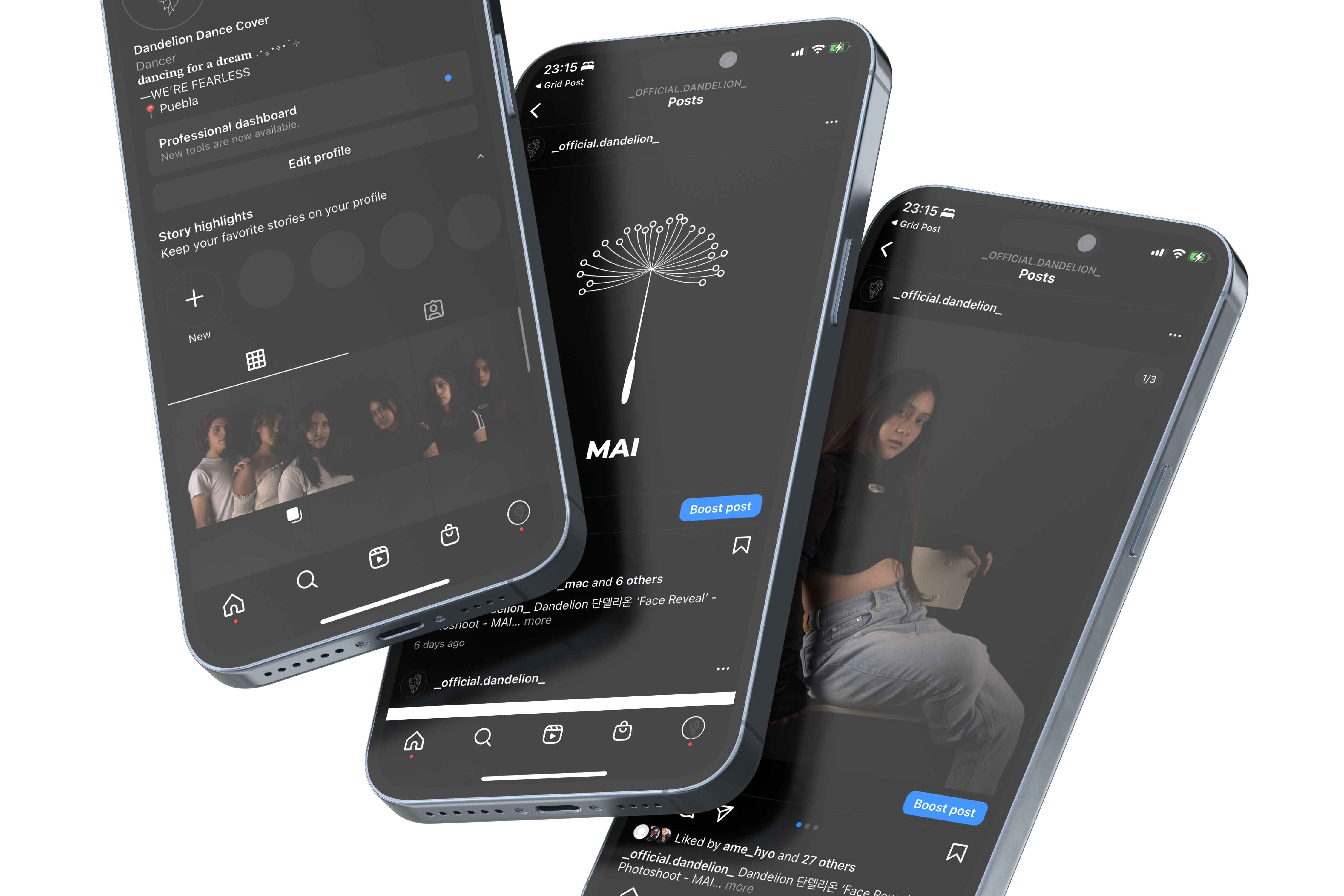 Dandelion — identidad de marca para grupo de danza